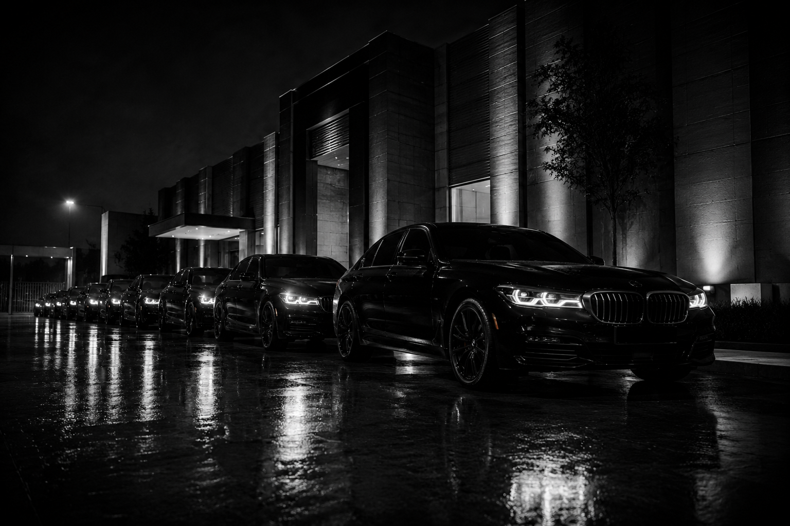 THE BLACK CAR FLEET